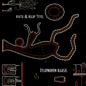 xylophonium av2 12x12