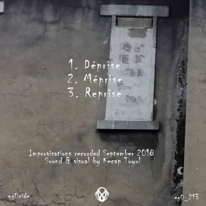 z(xW+yV) : Trois Prises